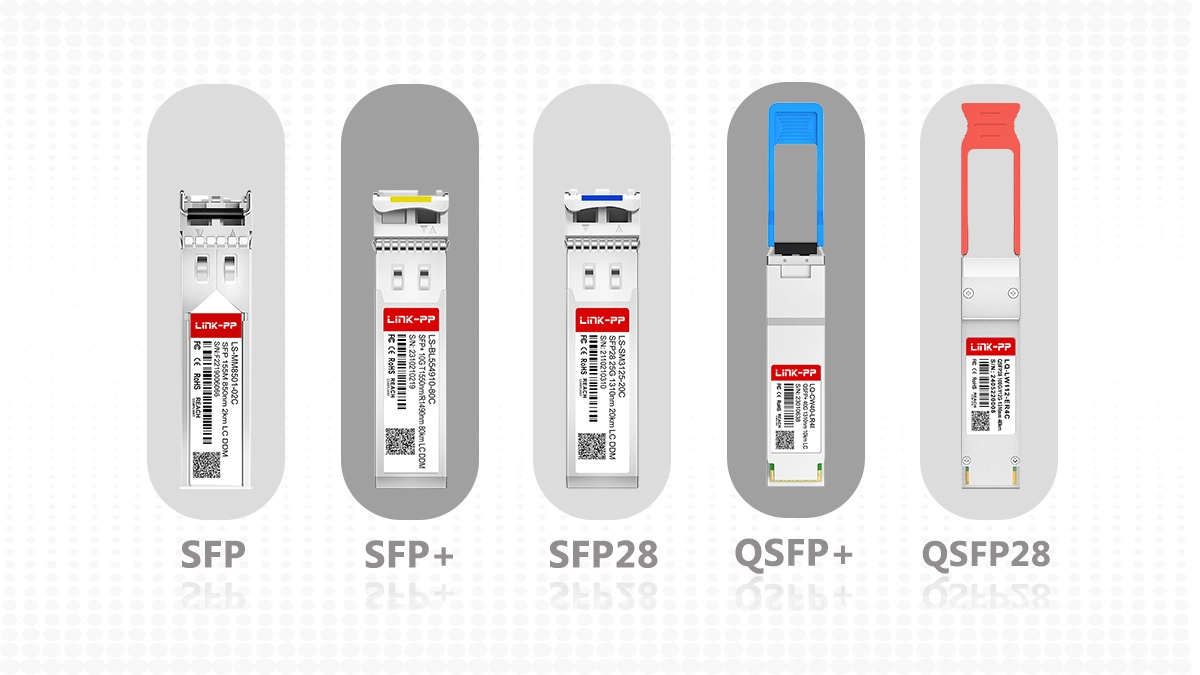 Optical Module